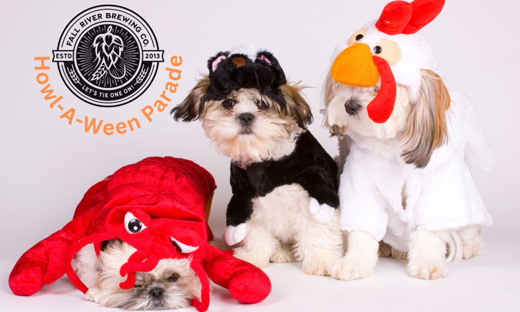 Howl-A-Ween Dog Costume Parade 